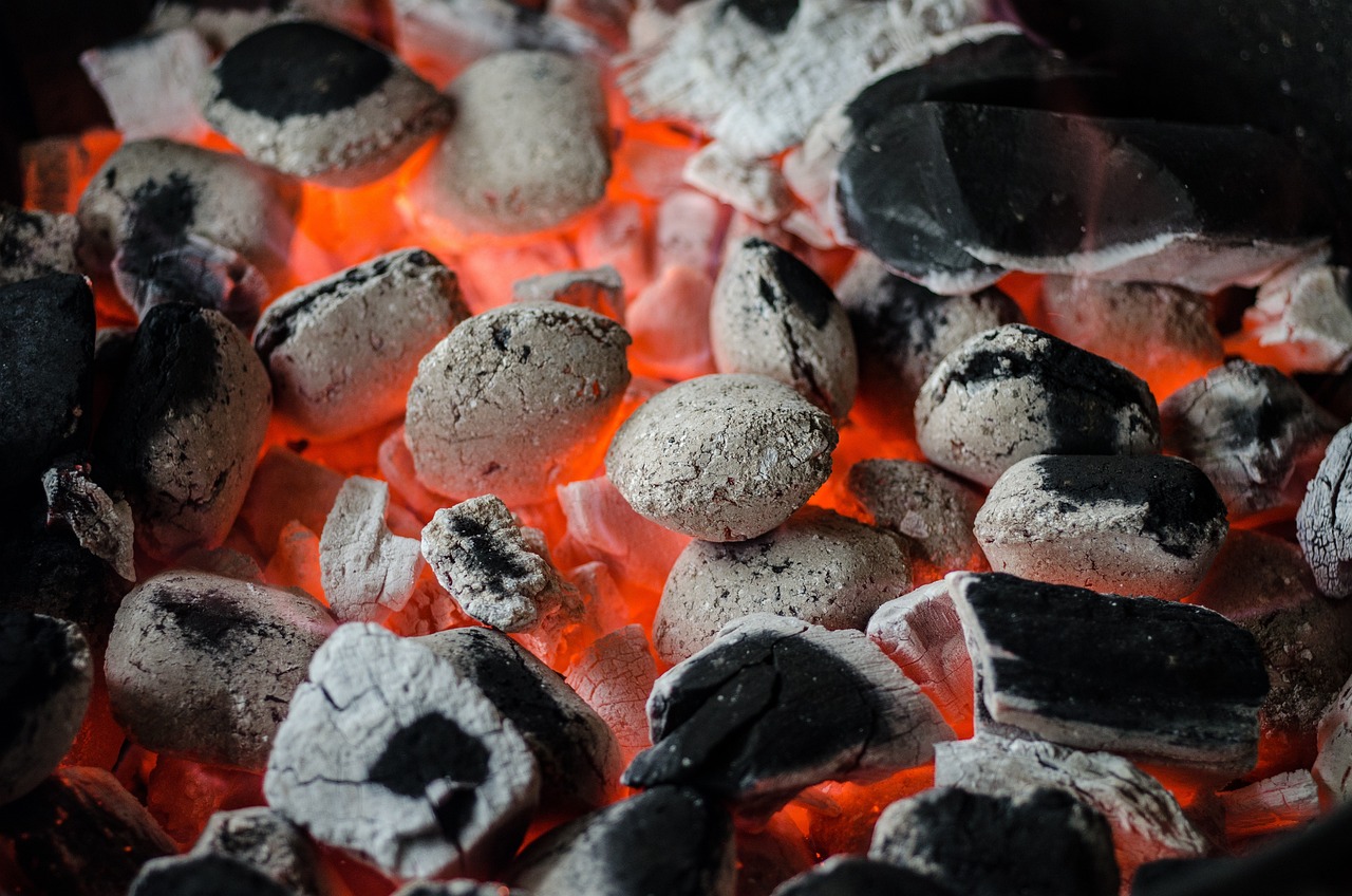 Quel est le meilleur barbecue charbon à choisir pour cuire la côte de boeuf ?