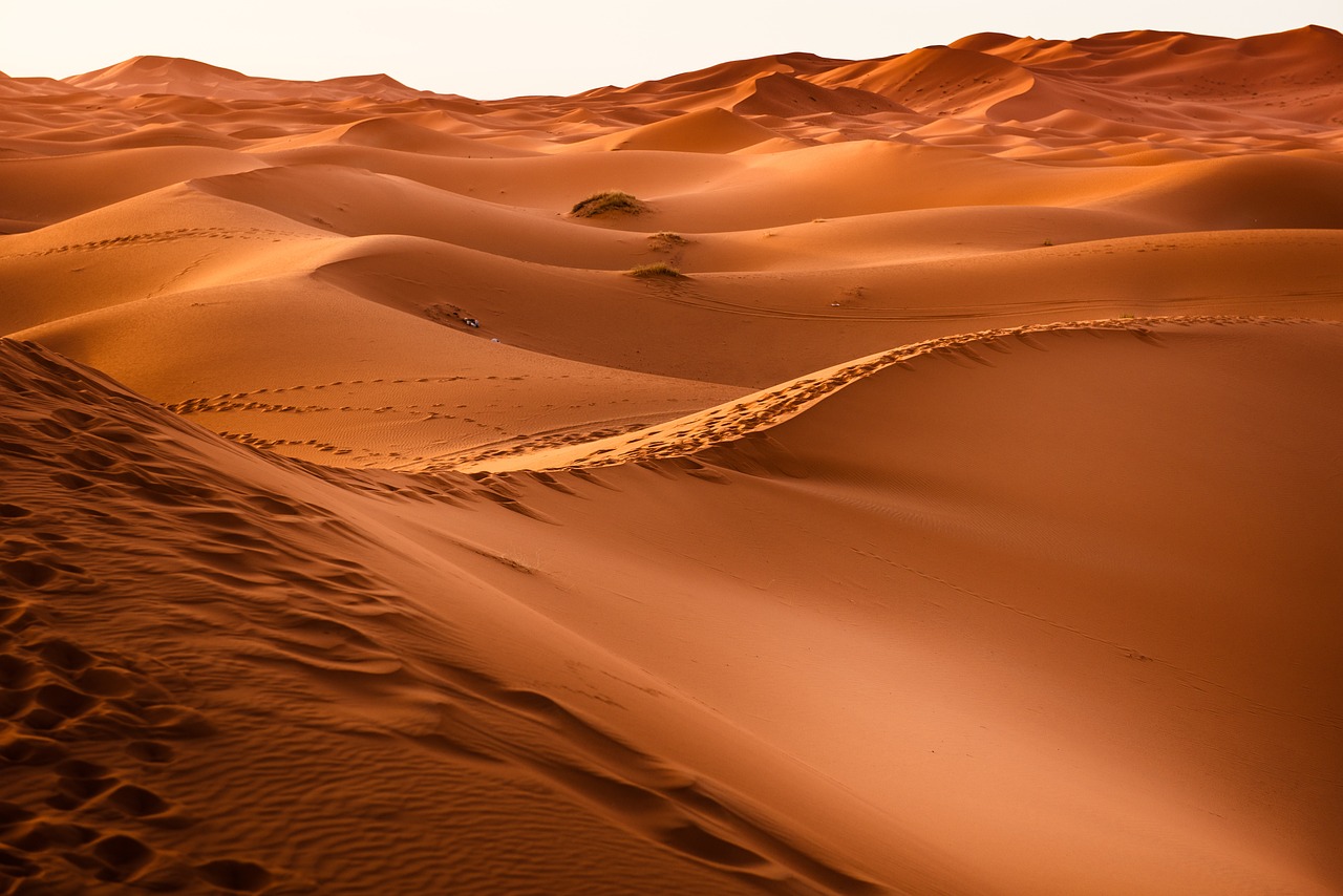 Plus grand désert du monde : Les déserts les plus vastes du monde